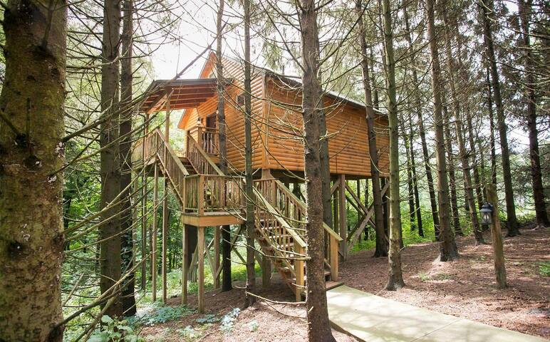 Romantic Treehouse Getaway with Treetop Views (Whispering Pines Treehouse)